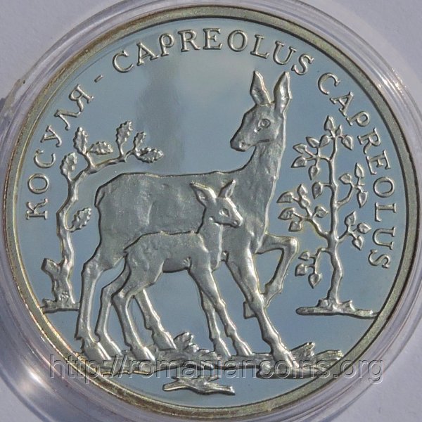 100 ruble 2004 - Fauna Transnistriei - c�prioar� (Transnistria - Republica Moldova)