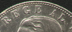 broad G