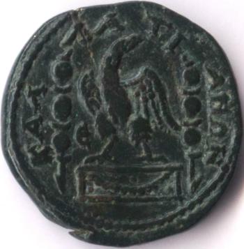 5 assaria coin from Callatis - Caracalla - reverse