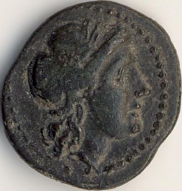 Apollo / eagle on dolphin - coin from Istros - obverse