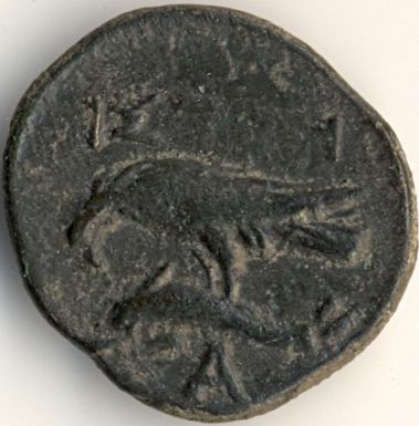Apollo / eagle on dolphin - coin from Istros - reverse