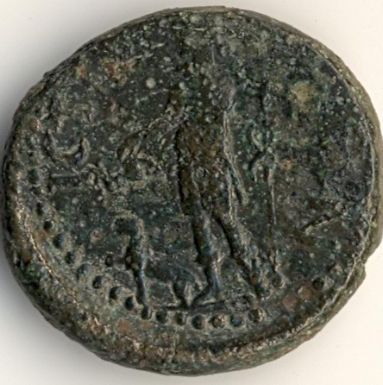 Bruttia Crispina / Dionysos - provincial Roman coin from Istros - reverse