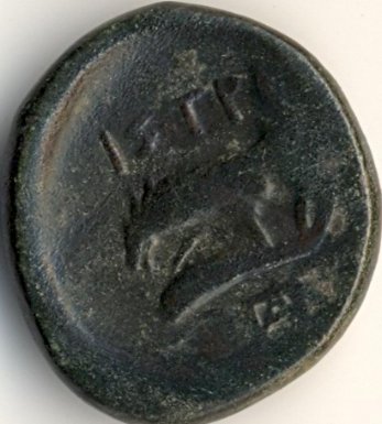 Demeter / eagle on dolphin - Greek coin from Istros - reverse