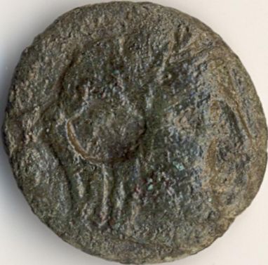 Demeter / eagle on dolphin, cornucopia and wheat ear - Greek coin from Istros - obverse