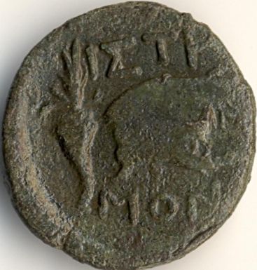 Demeter / eagle on dolphin, cornucopia and wheat ear - Greek coin from Istros - reverse