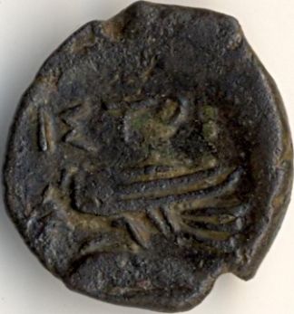 horned god Istros / eagle on dolphin - Greek coin from Istros - reverse