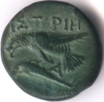 coin from Histria - reverse
