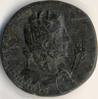 coin from Callatis - obverse