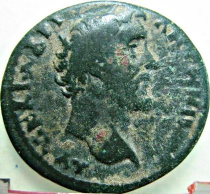 coin struck at Tomis by Antoninus Pius / Tyche