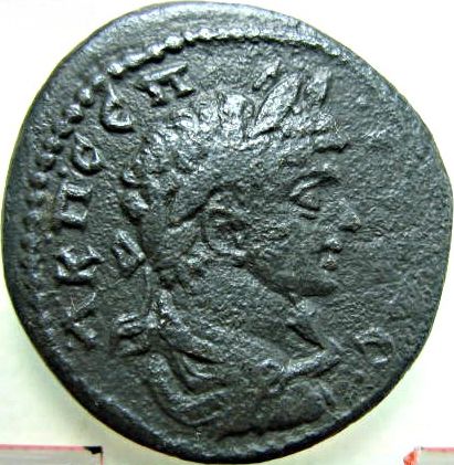 coin from Tomis - Geta / eagle - reverse