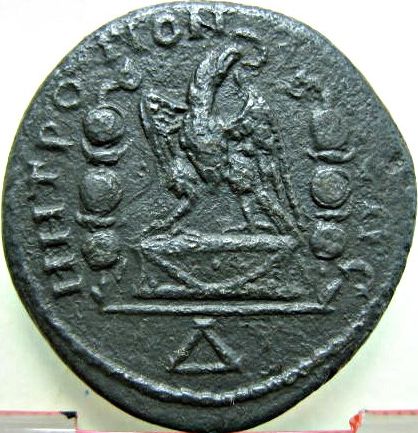 coin from Tomis - Geta / eagle - obverse
