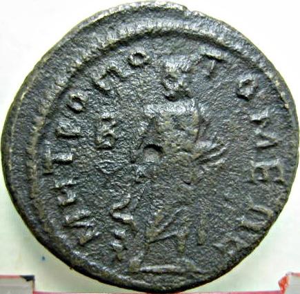 Gordian III / Asclepius - 2 assaria from Tomis - bronze - reverse