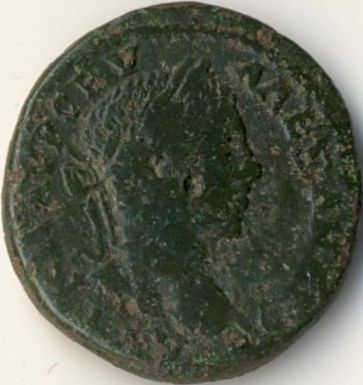 coin from Tomis - Severus Alexander - obverse