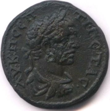 coin from Tomis - Geta - obverse